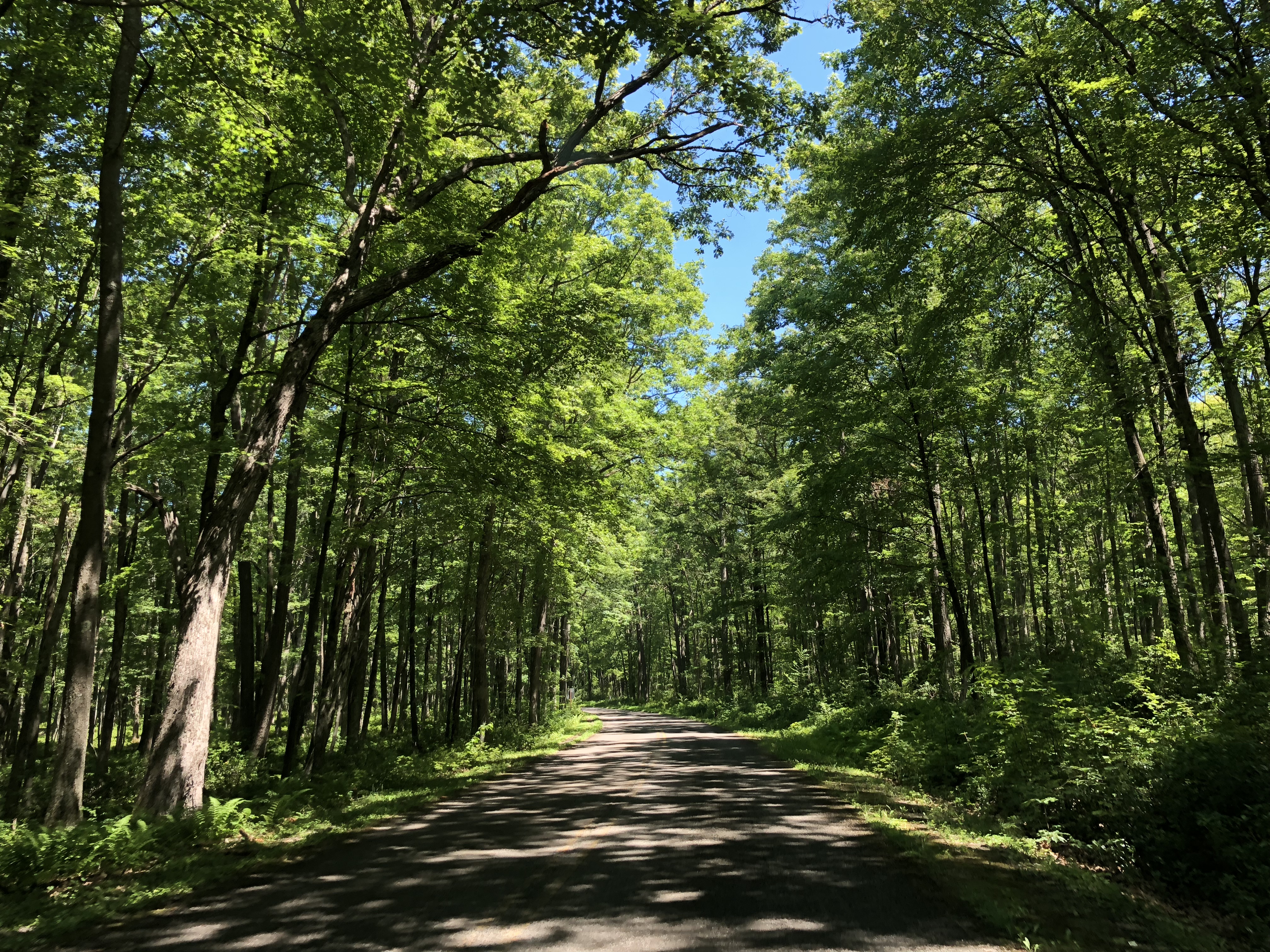 You are currently viewing Pennsylvania – West of the Appalachians