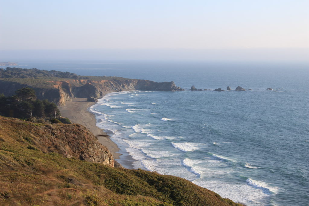 Read more about the article Big Sur