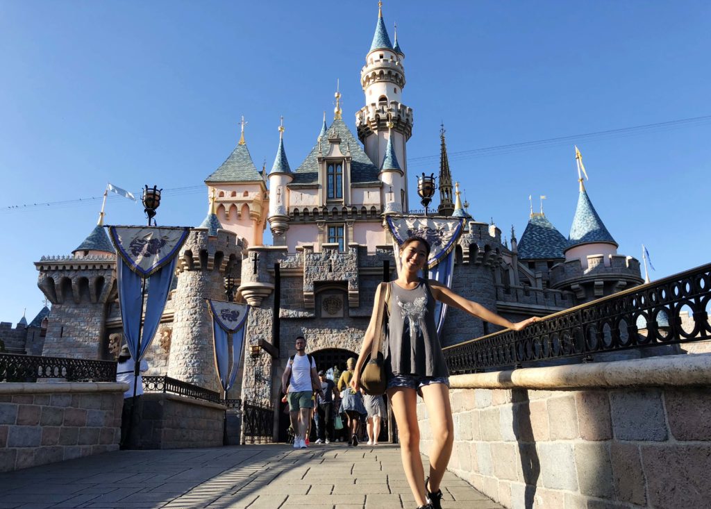 Read more about the article Disneyland