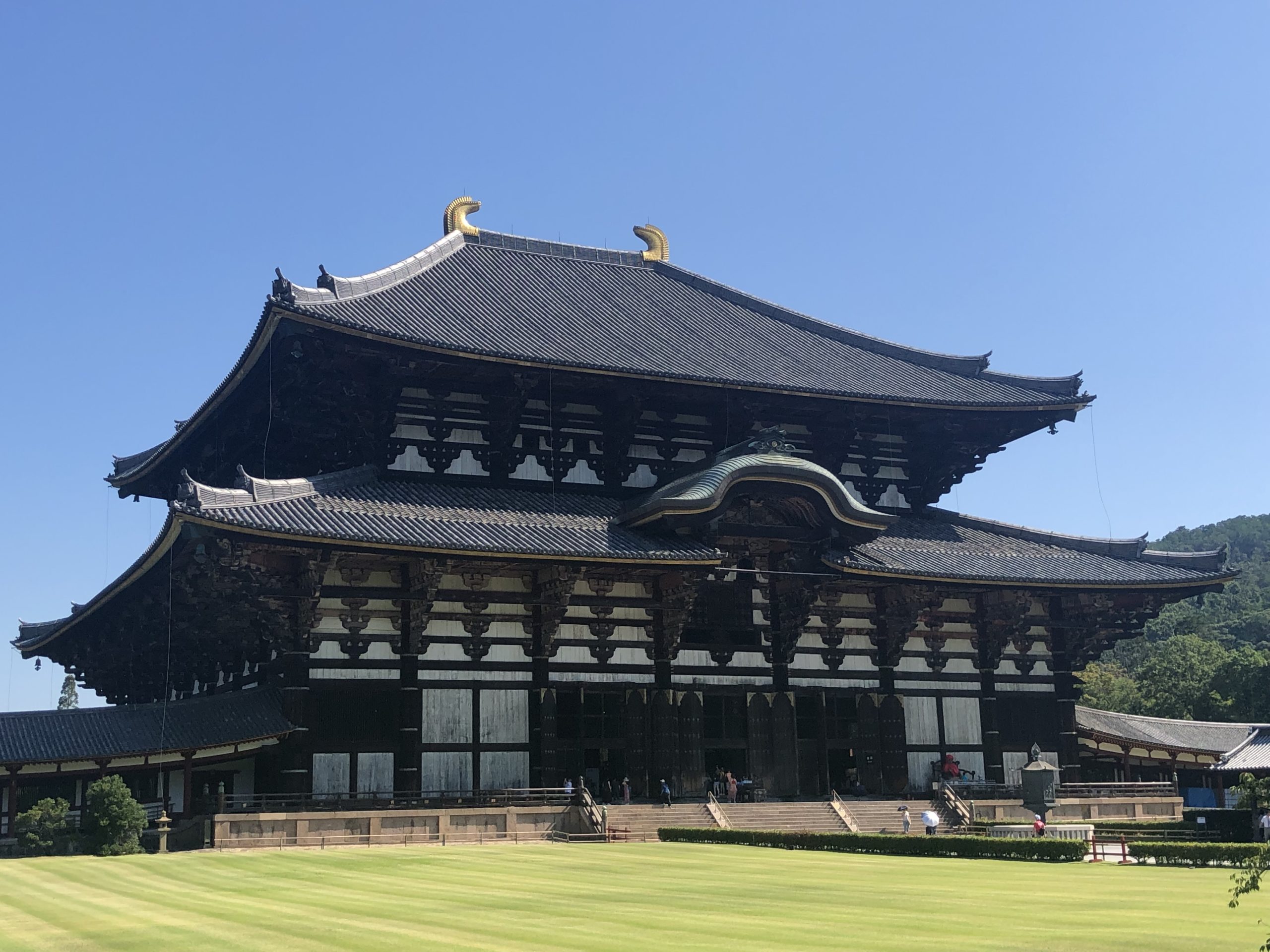 You are currently viewing Nara: Bronze Buddha & Spotted Deer